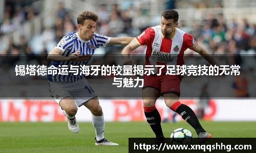 锡塔德命运与海牙的较量揭示了足球竞技的无常与魅力