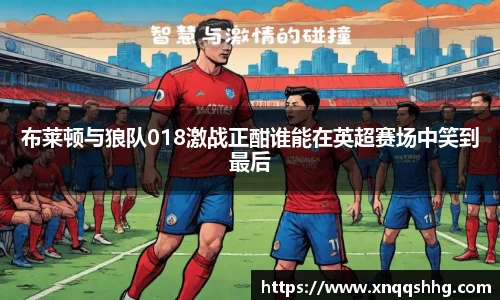 布莱顿与狼队018激战正酣谁能在英超赛场中笑到最后