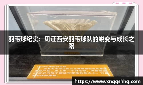 天博TB·体育登录入口