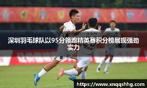 深圳羽毛球队以95分领跑精英赛积分榜展现强劲实力